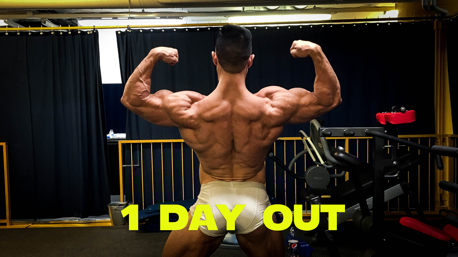 Kisadieettipäivitys, 1 DAY OUT